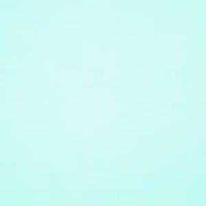 Meet your Posher, Zoey